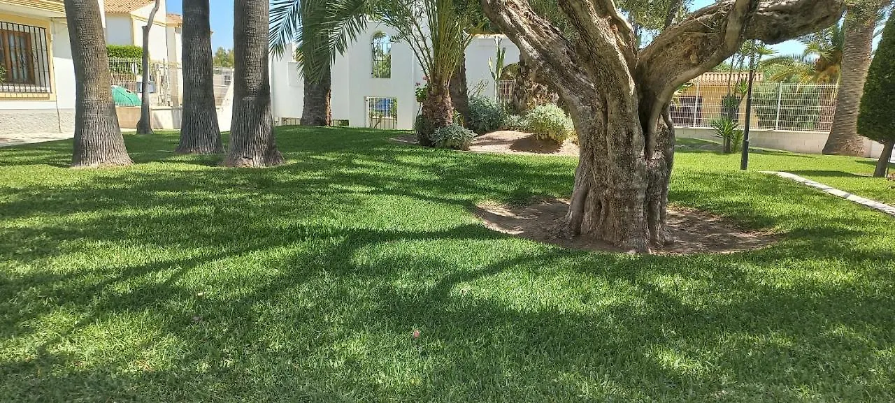 Apartamento Primera Linea De Playa Las Marinas Vera